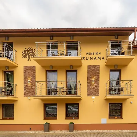 Zunama 3* Bardejovske Kupele